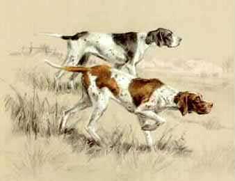 POINTERS